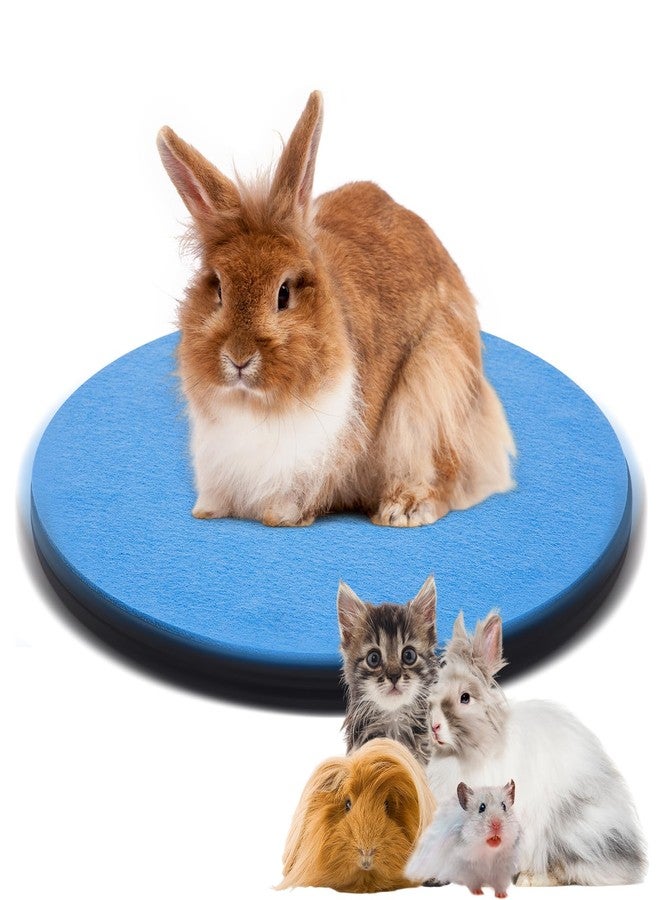 AceOrbit Rabbit Grooming Kit Pet Rotating Platform Spinning Mat Non Slip Blue Felt Bunny Groom Accessory Supply for Guinea Pigs Rat Hedgehog Gerbil Christmas Party Gifts for Rabbit Small Pets Breeder - Image 1
